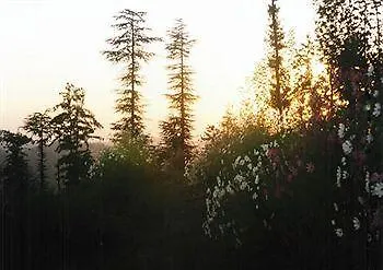 Royal Jardin Whistling Pines Resort Shimla 3*,